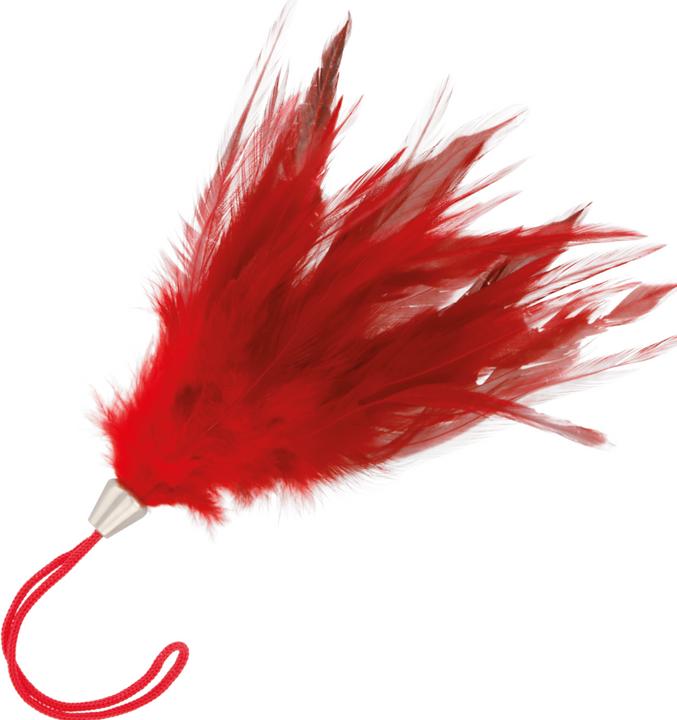Darkness Sensations Obscurité Plume Rouge 17cm