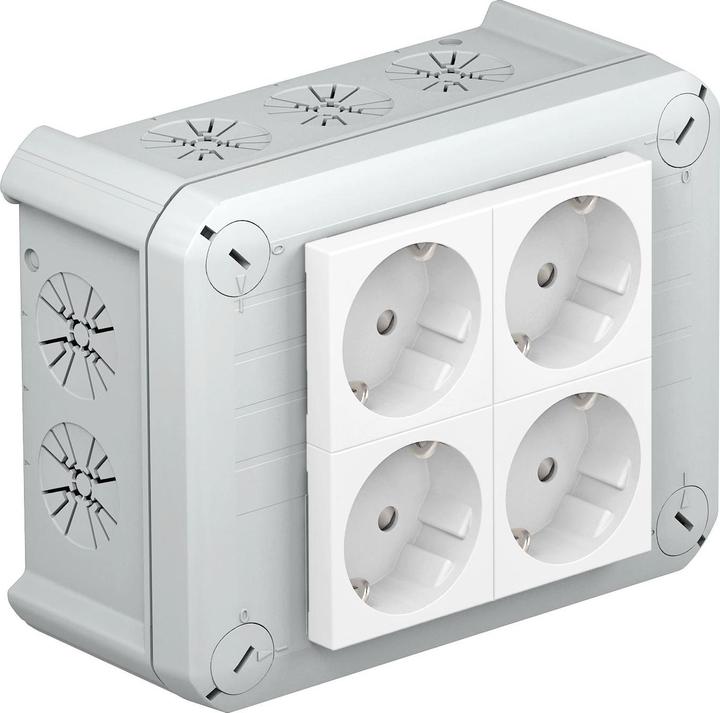Actual product image OBO Bettermann OBO T 100 4MSD WS Cable junction box 151x117x67 PP 4xsockets 33Â°ws 2+2 lichtg