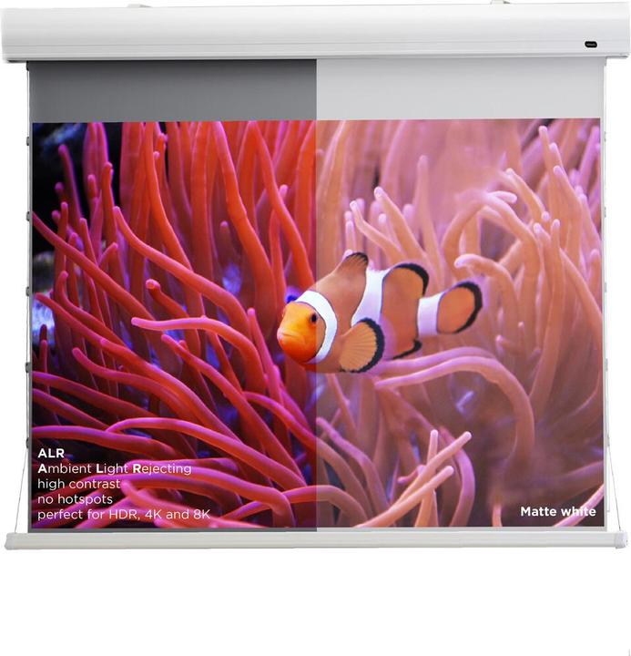 Image du produit Celexon HomeCinema Tension Dynamic Slate ALR (109.65", 16:9)