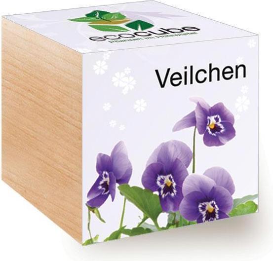 Produktbild Feel Green Veilchen (Blumensamen)