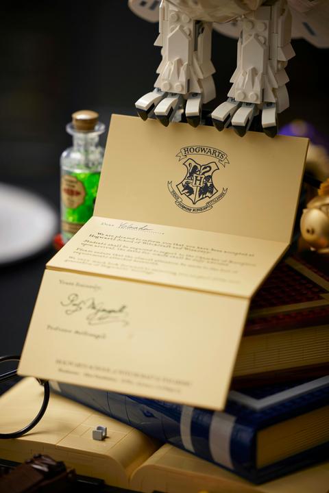 Produktbild LEGO Hogwarts Ikonen - Sammler-Edition (76391, LEGO Harry Potter, LEGO Seltene Sets)
