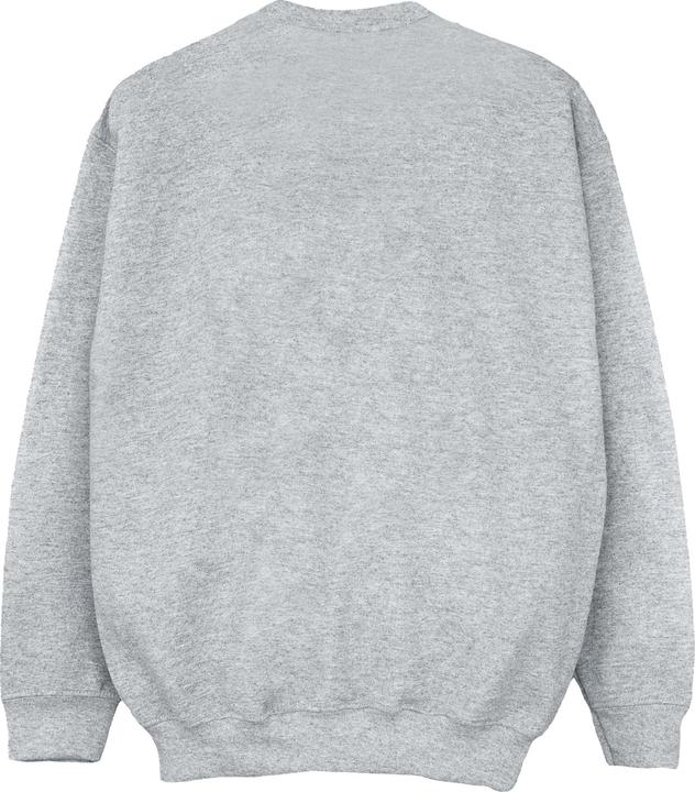 Produktbild Disney Big Hero 6 Baymax Flying Baymax Newspaper Sweatshirt Jungen (152, 158)