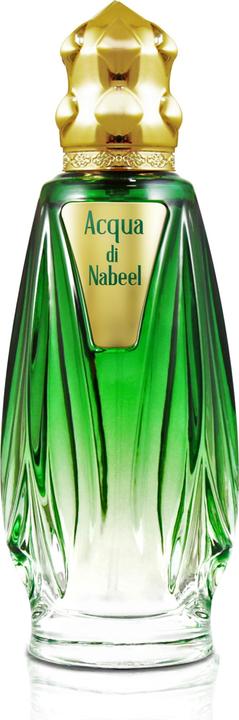 Nabeel Acqua Di Eau De Parfum 100ml (Eau de parfum, 100 ml)
