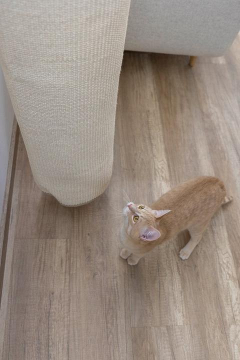 Image du produit Kerbl Sac d'escalade Mini (128 cm, Beige)
