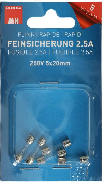 Max Hauri Fine-wire fuse (Micro fuse, 2.50 A, Nimble)