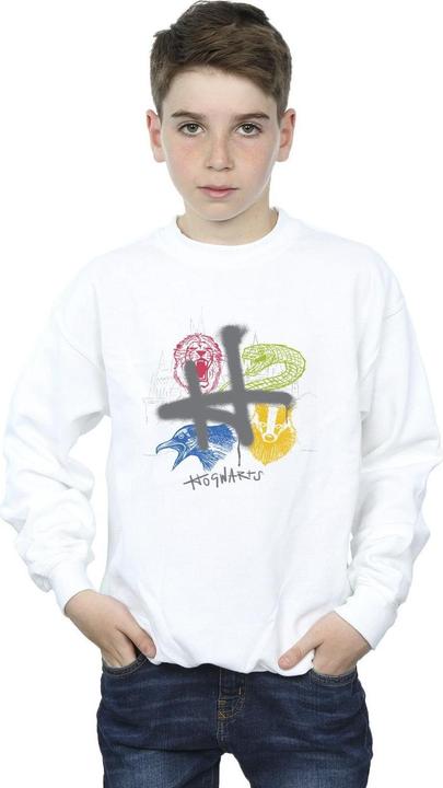 Image du produit - Sweat EMBLEMS H SPRAY - Garçon (140, 146)