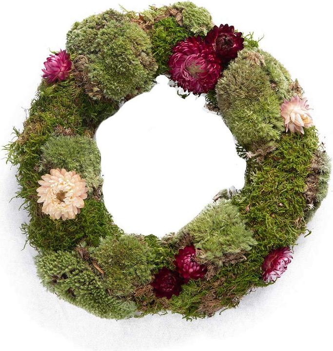 Immagine prodotto VEG and the City La favola (25 cm)