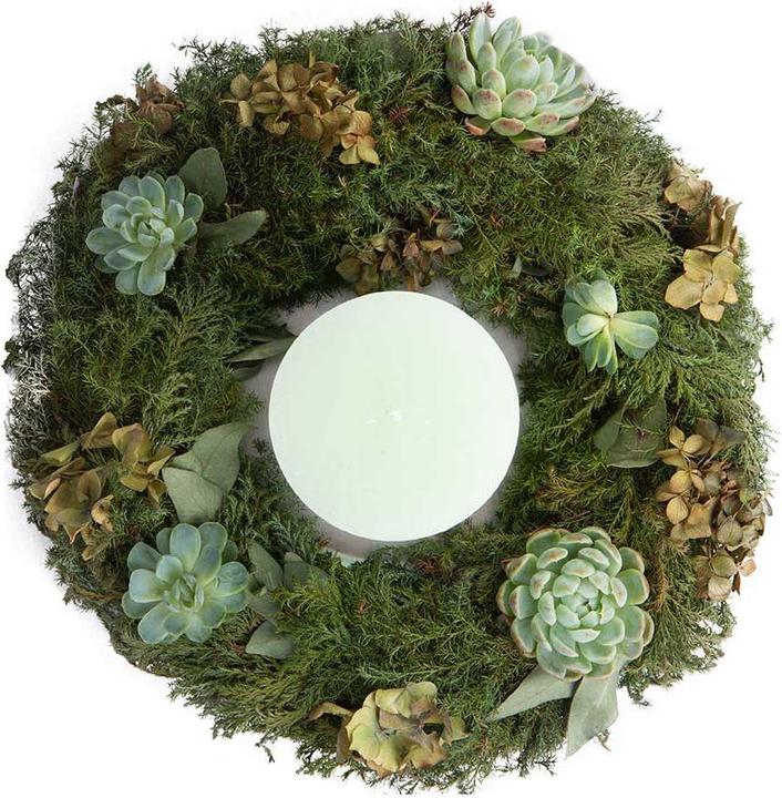Actual product image VEG and the City Reti (40 cm)