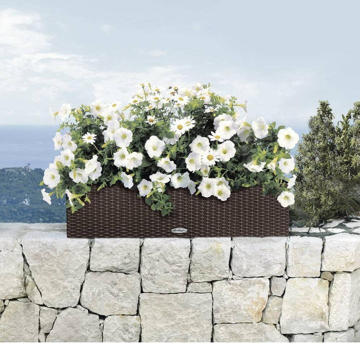 Image du produit Lechuza Balconera Cottage (19 cm)