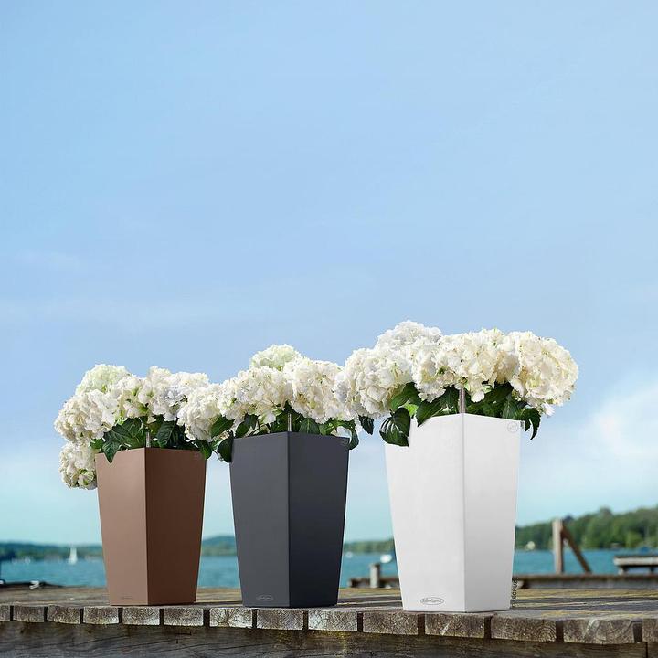 Actual product image Lechuza Cubico Color (22 cm)