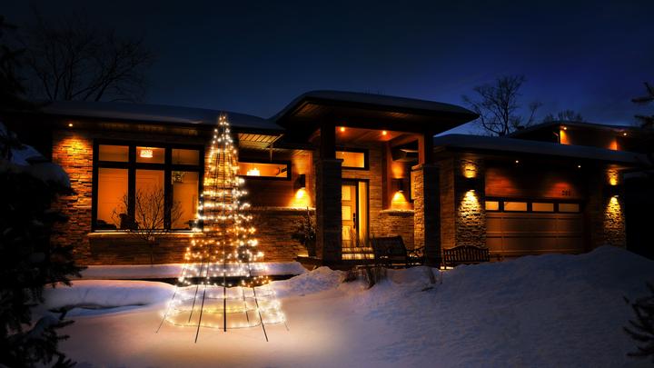 Actual product image Twinkly Light tree