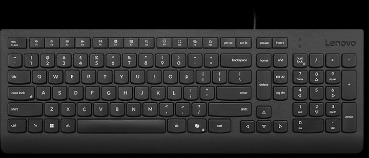 Image du produit Lenovo ESSENTIAL WIRED KEYBOARD (BLACK) - FRENCH 189