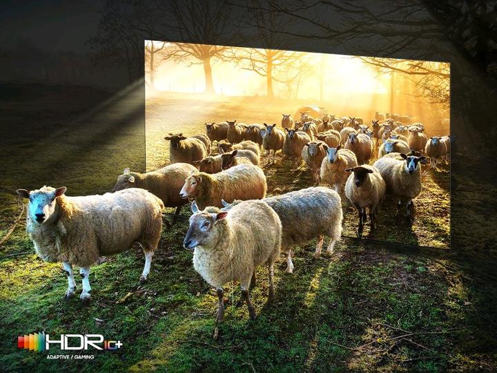 Image du produit Samsung QE85QN900BTXZT (85", NeoQLED, 8K, 2022)
