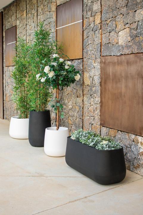 Image du produit Newgarden Camelia 80 (79 cm)