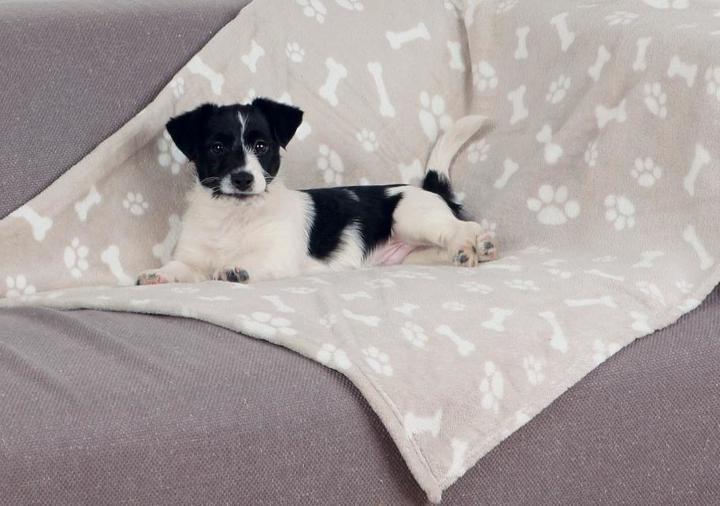 Immagine prodotto Trixie Kenny (Cane)