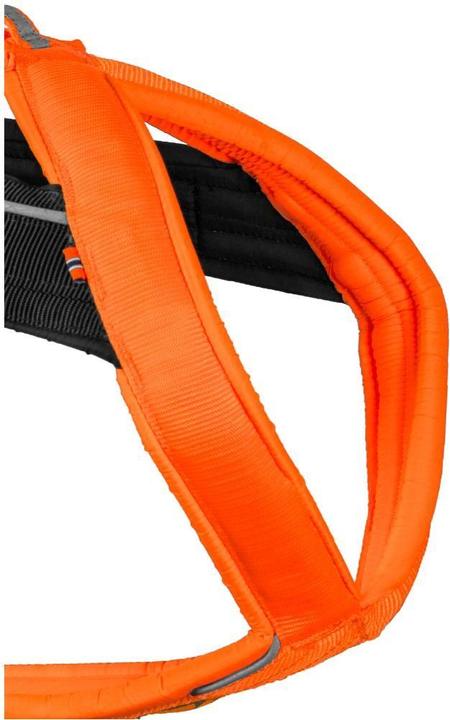 Actual product image Non-Stop Dogwear Freemotion Harness 5.0 (S, Dog, General)