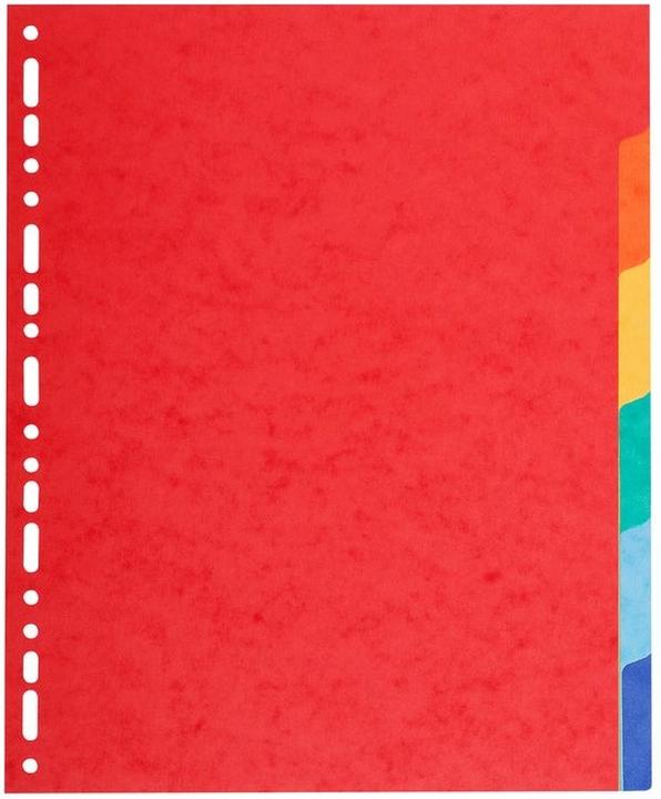 Exacompta Blanko-Register - Karton