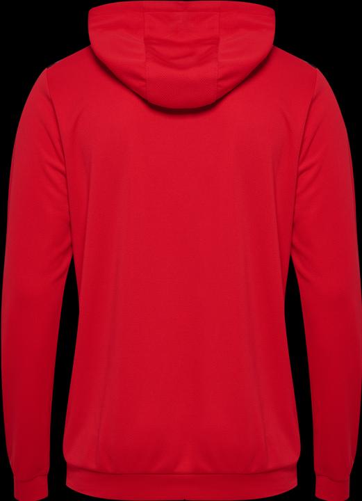 Actual product image hummel Hmlauthentic Pl Hoodie (M)