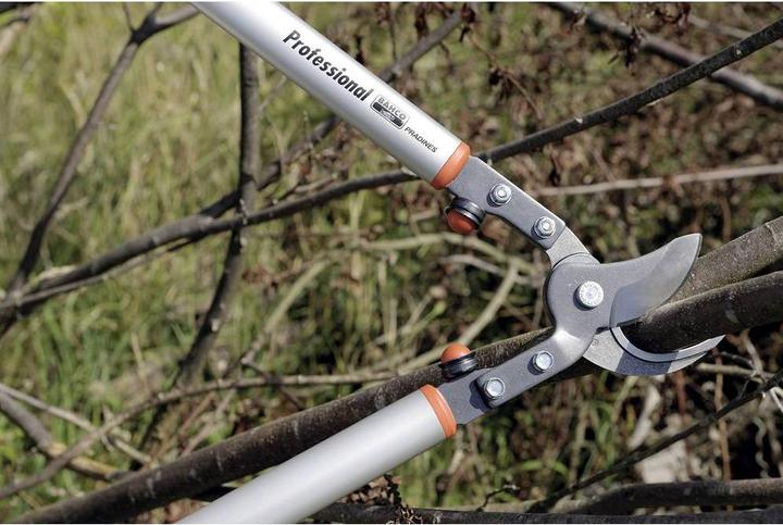 Image du produit Bahco Ciseaux d'ébranchage pour arbres fruitiers, P160-SL-75
