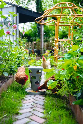 Image du produit Beeztees Mangeoire pour poules Tour d'alimentation, Gris