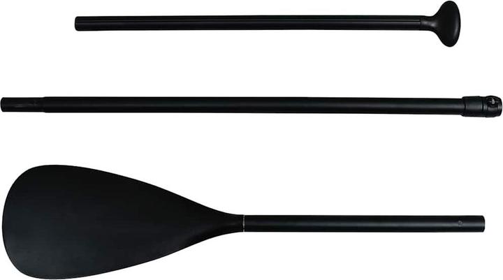 Actual product image VidaXL Noe (10')