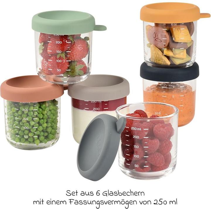 Immagine prodotto Beaba Porzioni di vetro 6 pezzi 250ml (miscela Sun)