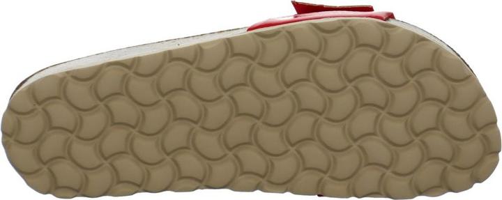 Actual product image Verbenas Reiko (41)