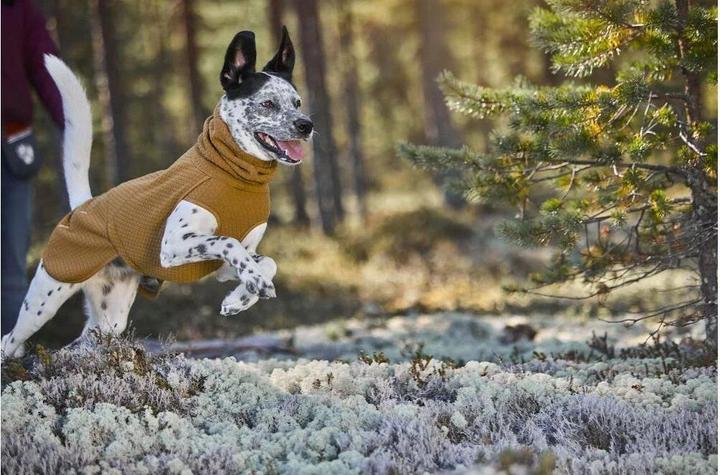 Image du produit Hurtta manteau d'hiver Warming Midlayer ECO, 35, moutarde (35, Manteau pour chien)