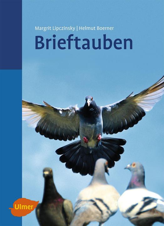 Brieftauben (Allemand, Helmut Boerner, Margrit Lipczinsky, 2011)