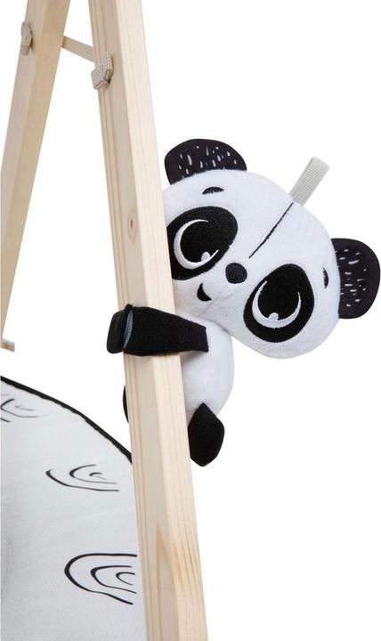 Actual product image Tiny Love Luxe Gymini