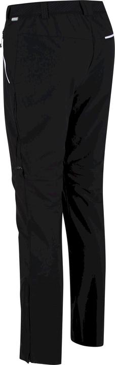 Actual product image Regatta Mens Mountain Zip-Off Trousers (48 F)