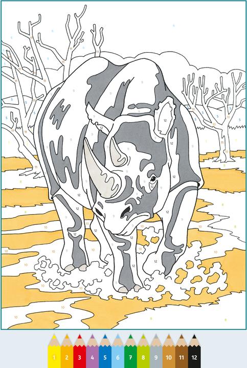 Image du produit Ravensburger Album de coloriage Malen nach Zahlen