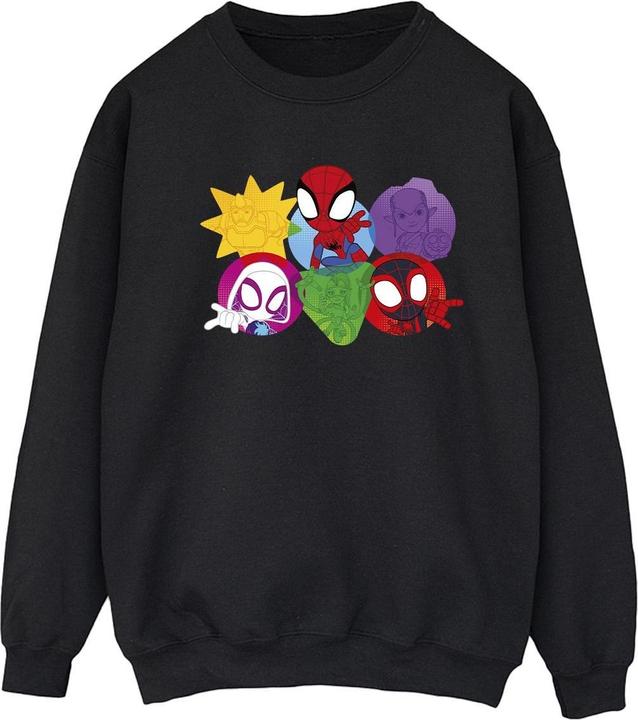 Produktbild Spidey And His Amazing Friends Faces Sweatshirt (XXL)