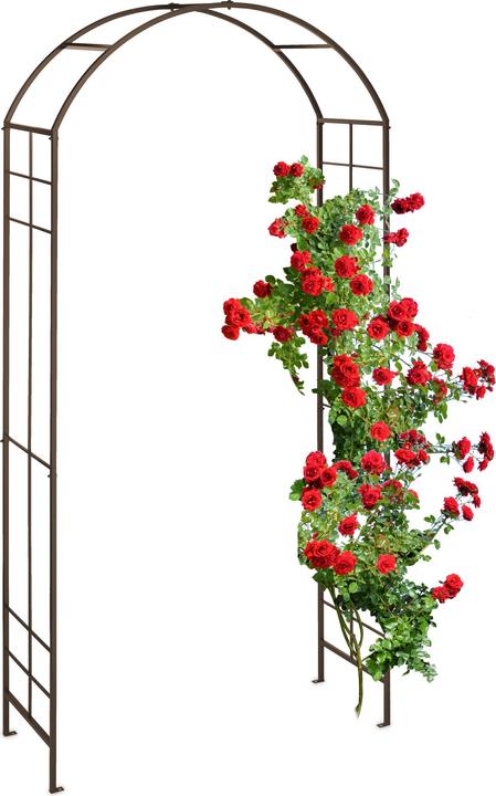 Produktbild Relaxdays Rosenbogen (41 cm, 110 cm)