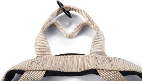 Actual product image Beeztees Bz Prem Geschr Parinca Hgr 32- (32, 33, 34, 35, 36, 37, 38, 39, 40, 41, 42, Dog, General)