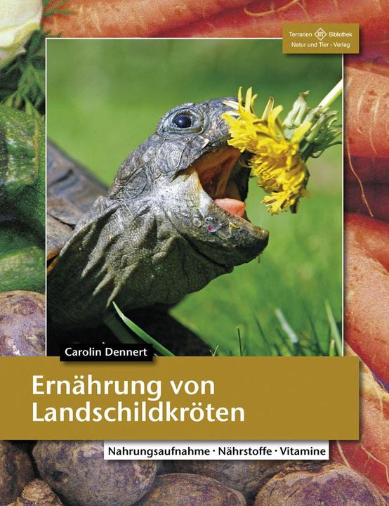 Actual product image Ernährung von Landschildkröten (German, Dr. Carolin Dennert, 2021)