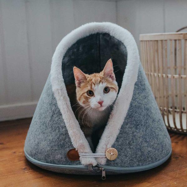 Immagine prodotto Hunter Gatto grotta Skive (Cane)