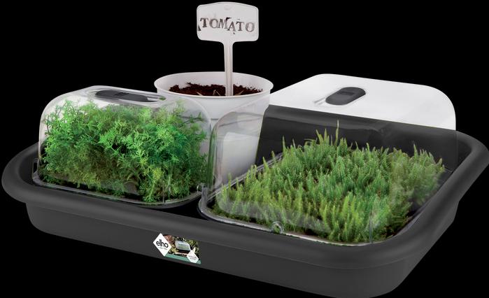 Actual product image Elho Basic garden tray