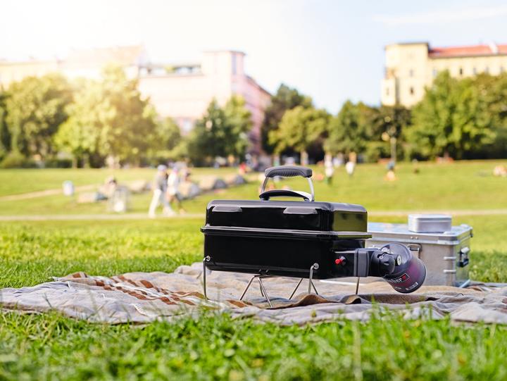 Image du produit Weber Go-Anywhere (1.90 kW)