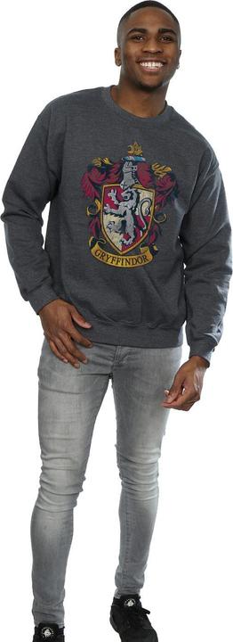 Immagine prodotto Felpa Gryffindor Uomo (L)