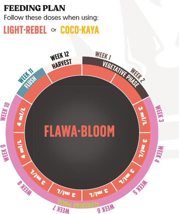 Image du produit BioBizz JuJu Royal Flowa Bloom 5L (6 kg, 5 l)