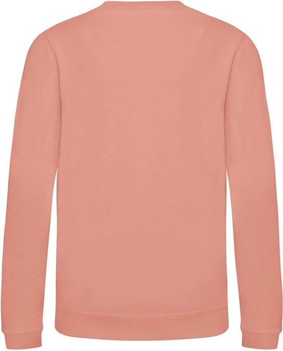 Actual product image Awdis Just Hoods Sweatshirt (104)