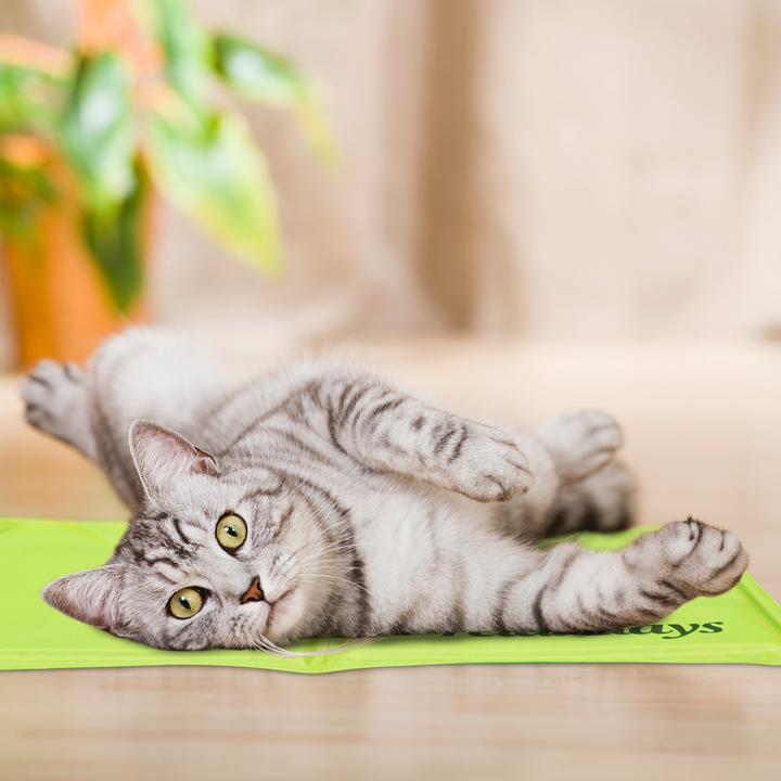 Actual product image Relaxdays Cooling mat dog (Dog)