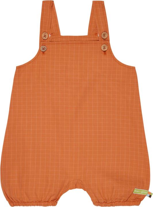 Actual product image loud + proud Short dungarees in fine check (80)