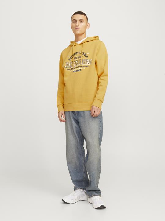 Immagine prodotto Jack & Jones JJELOGO SWEAT HOOD 2 COL 24/25 NOOS (XXL)