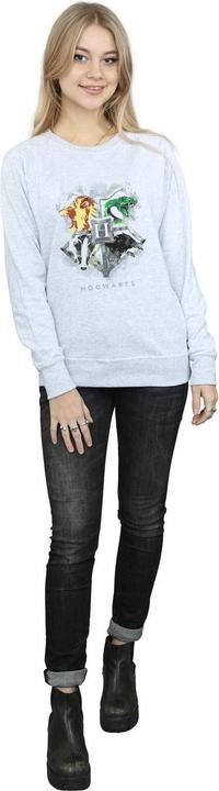 Produktbild Hogwarts Painted Crest Sweatshirt (XL)