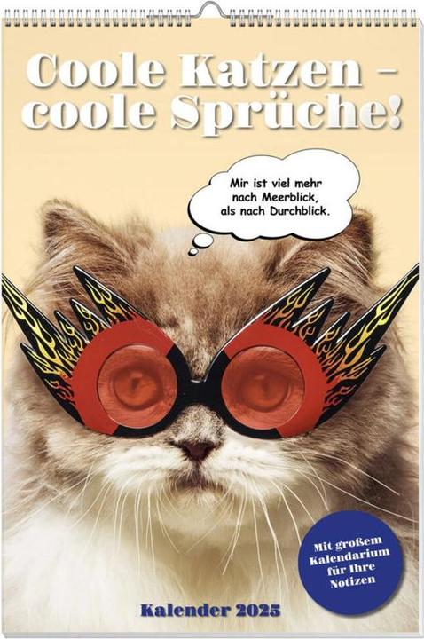 Actual product image Cool cats poster calendar 2025 (No binding, German)
