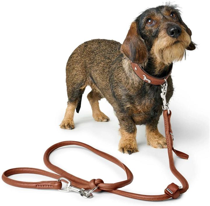 Actual product image Hunter Dachshund collar Munich 42/S, cowhide, cognac/black (42, S, Dog, Dog sport)