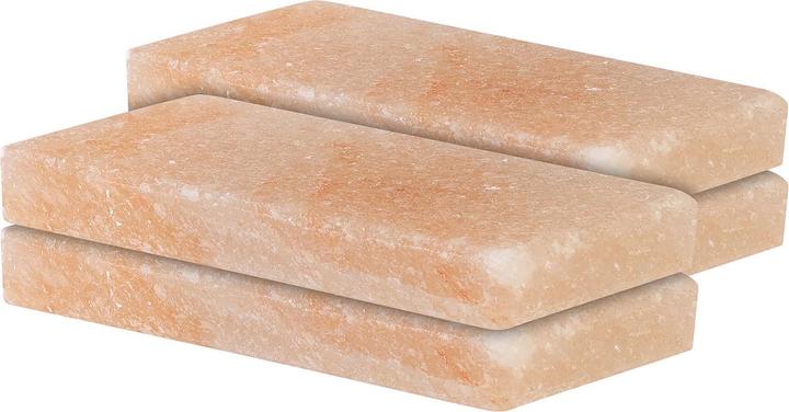 Actual product image Rosenstein & Söhne Set of 4 salt stones for barbecue, 10 x 20 x 2.5 cm