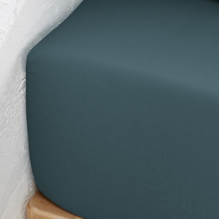 Image du produit La Redoute Interieurs Percale Bio (Housse de couette, 180 x 200 cm)